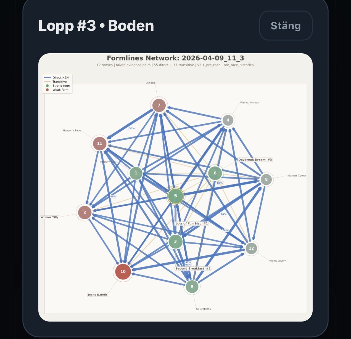Formlines-nätverk i produktform för lopp 3 på Boden